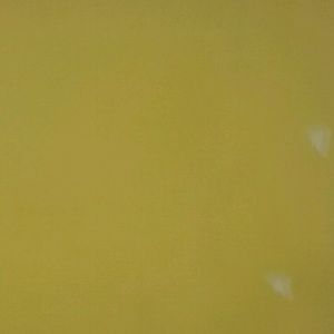 Meet your Posher, Darlene